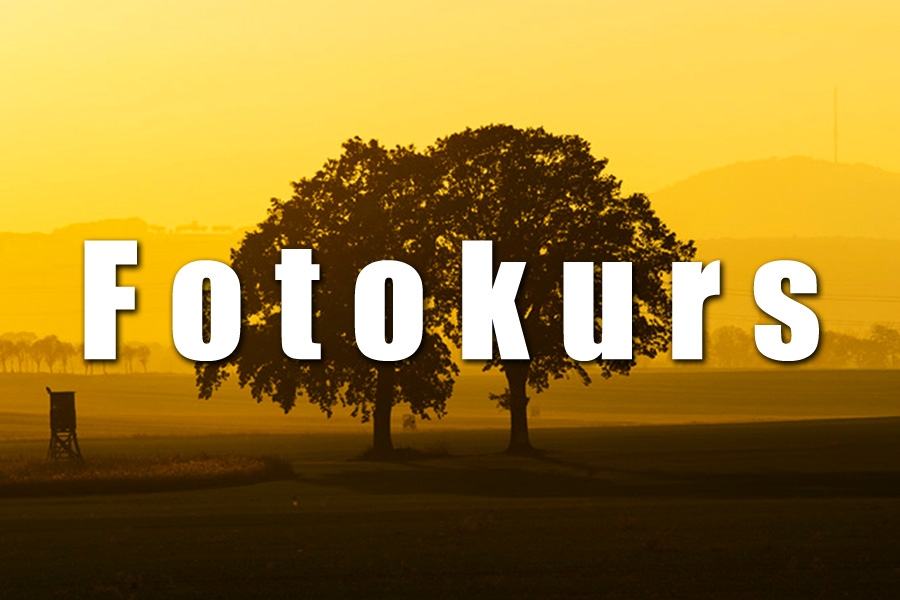 Fotokurs_2025_900x600px